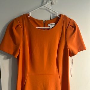 New Calvin Klein dress.